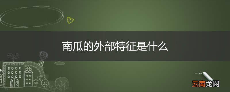 南瓜的外部特征是什么