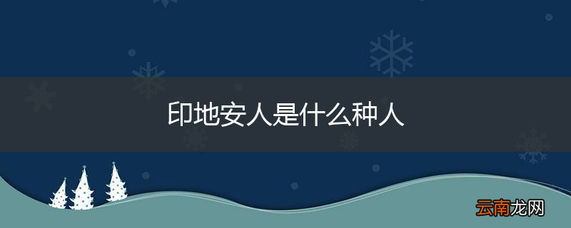 印地安人是什么种人