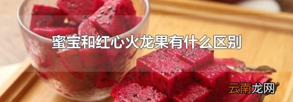 蜜宝和红心火龙果有什么区别