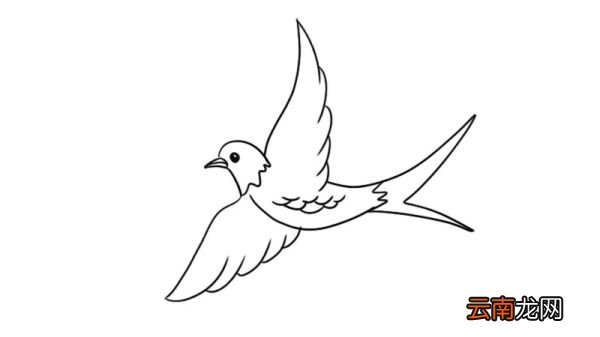 小燕子简笔画怎么画小燕子简笔画的画法