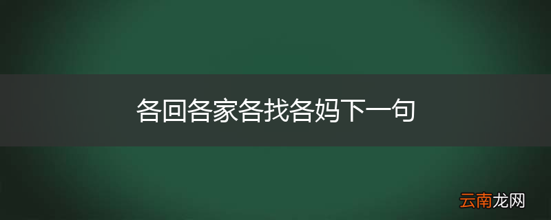 各回各家各找各妈下一句