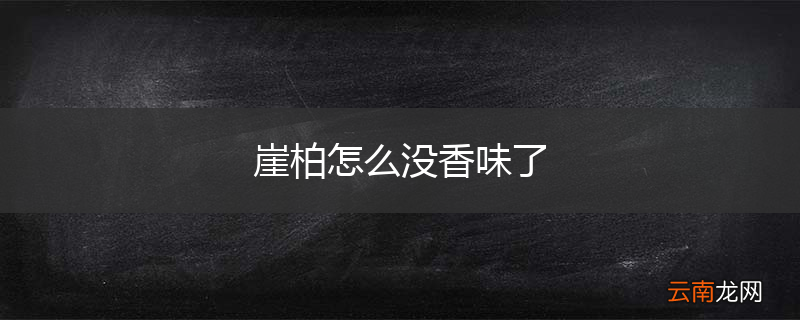 崖柏怎么没香味了