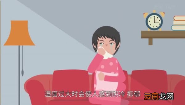 湿度多少合适 湿度多少人最舒适