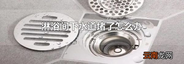 淋浴间下水道堵了怎么办