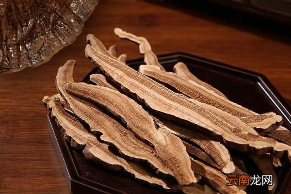 斗龙芝的功效与作用 斗龙芝有什么益处