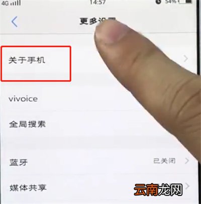 vivo手机中打开开发者选项的简单步骤