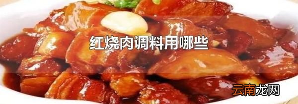 红烧肉调料用哪些