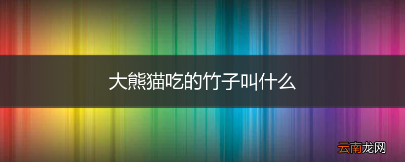 大熊猫吃的竹子叫什么