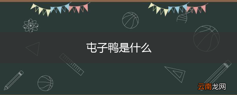 屯子鸭是什么