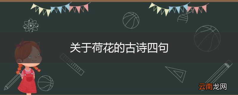关于荷花的古诗四句