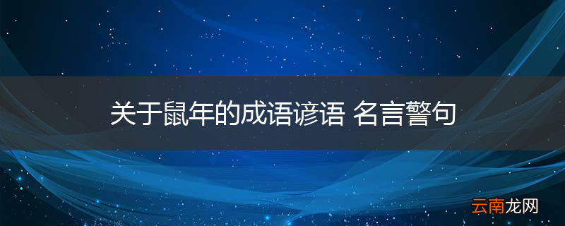 关于鼠年的成语谚语 名言警句