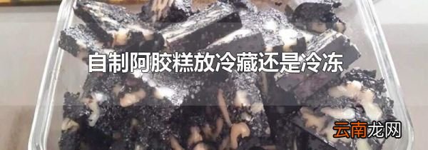 自制阿胶糕放冷藏还是冷冻
