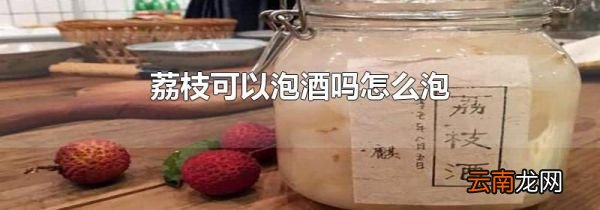 荔枝可以泡酒吗怎么泡