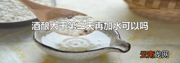 酒酿太干第二天再加水可以吗