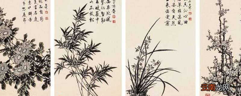 梅兰竹菊的象征意义分别是什么