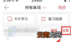 有道词典中开启卡片自动发音具体操作步骤