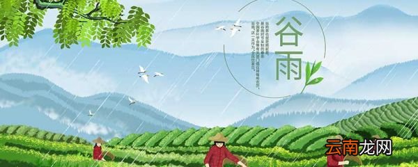 谷雨是什么季节 谷雨是什么季节的节气