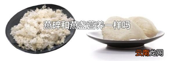 燕碎和燕盏营养一样吗