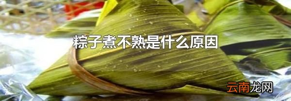 粽子煮不熟是什么原因