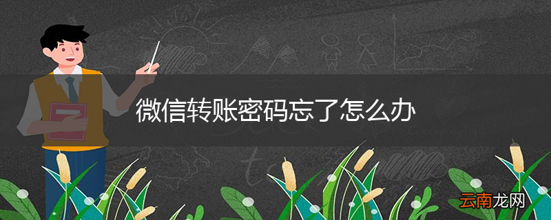 微信转账密码忘了怎么办