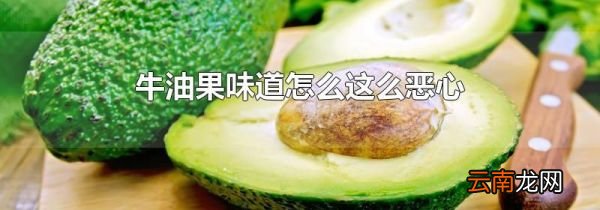 牛油果味道怎么这么恶心