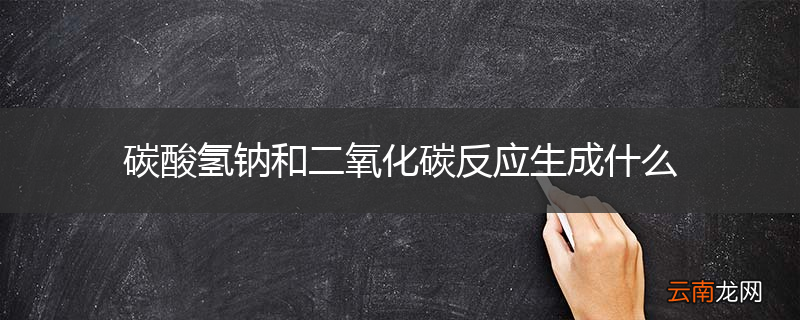 碳酸氢钠和二氧化碳反应生成什么
