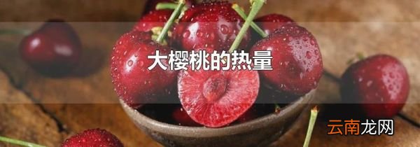 大樱桃的热量
