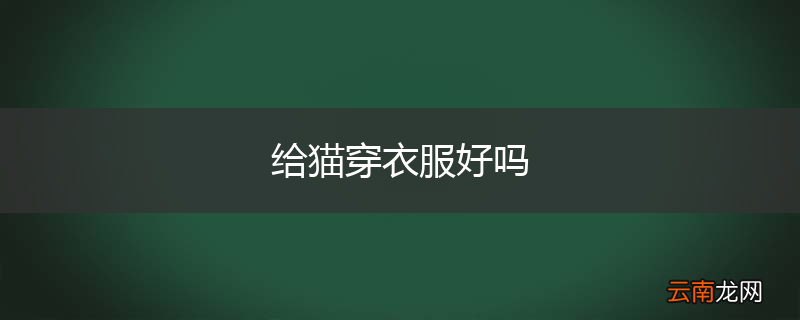 给猫穿衣服好吗