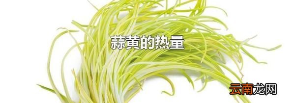 蒜黄的热量