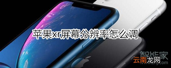 苹果xr屏幕分辨率怎么调