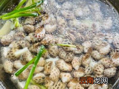 白灼花螺的做法煮多久