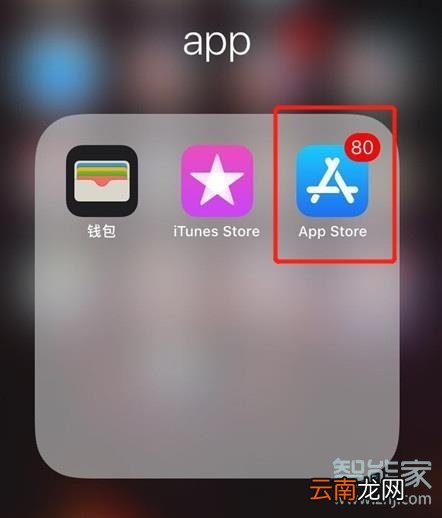 苹果xr怎么更新应用