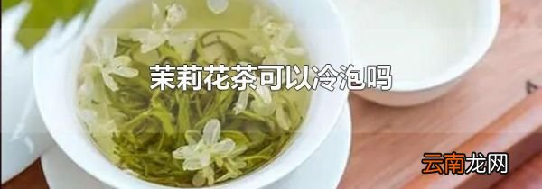 茉莉花茶可以冷泡吗