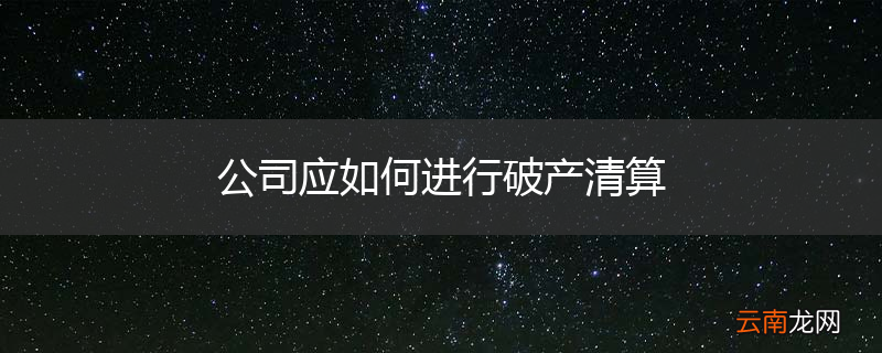 公司应如何进行破产清算