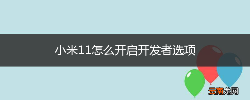 小米11怎么开启开发者选项