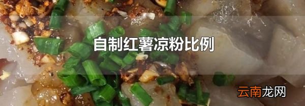 自制红薯凉粉比例