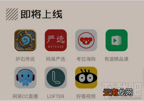 网易白金卡新增免流应用有哪些？
