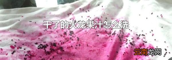 干了的火龙果汁怎么洗