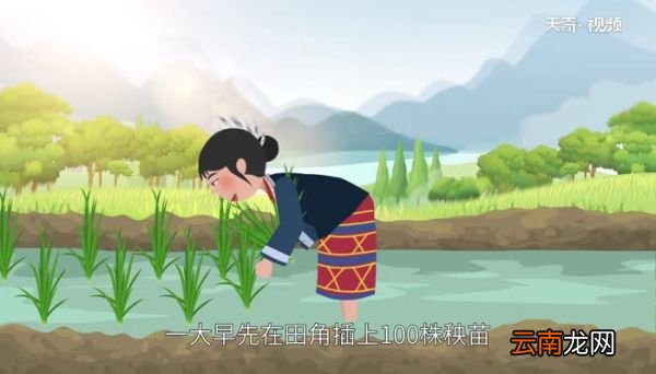 黎族有什么节日和风俗 黎族节日风俗