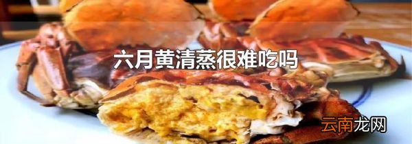 六月黄清蒸很难吃吗