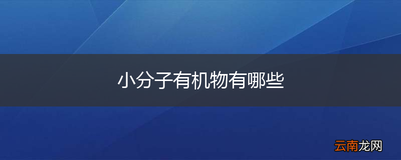 小分子有机物有哪些