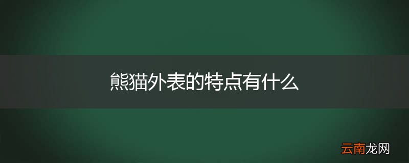 熊猫外表的特点有什么