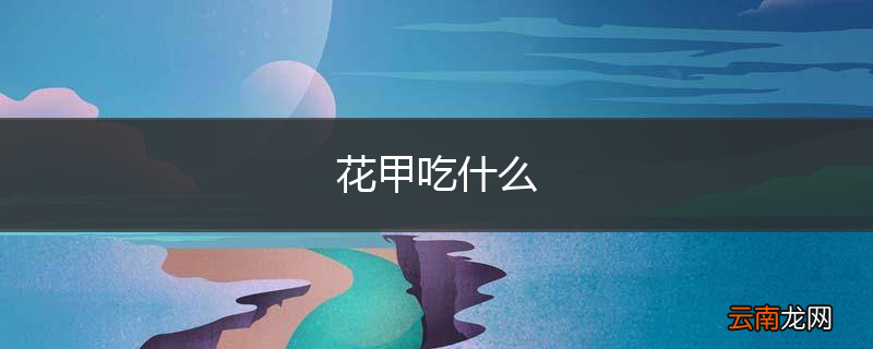 花甲吃什么