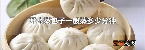 开水蒸包子一般蒸多少分钟