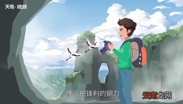 溪水和石头告诉我们什么道理 溪水和石头的故事告诉我们什么道理