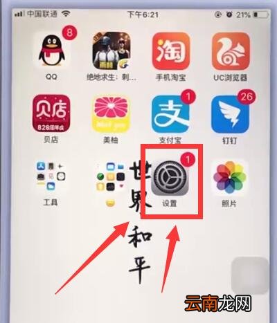 苹果手机中退出苹果id的简单步骤