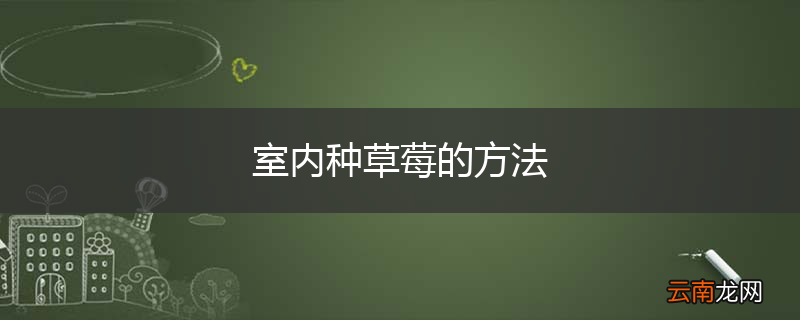室内种草莓的方法