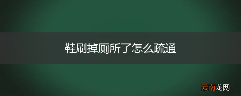 鞋刷掉厕所了怎么疏通