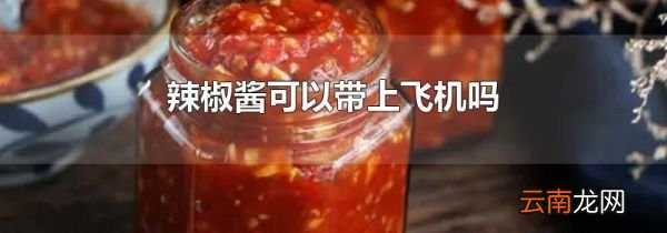 辣椒酱可以带上飞机吗