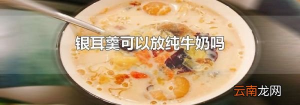 银耳羹可以放纯牛奶吗